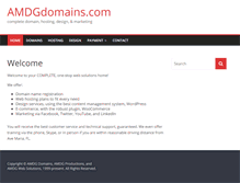 Tablet Screenshot of amdgdomains.com